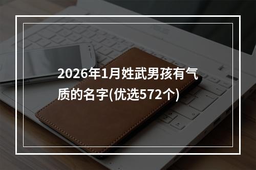 2026年1月姓武男孩有气质的名字(优选572个)