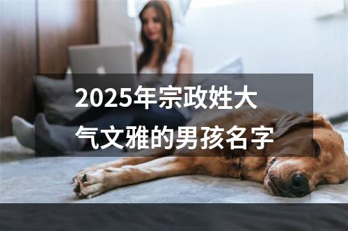 2025年宗政姓大气文雅的男孩名字