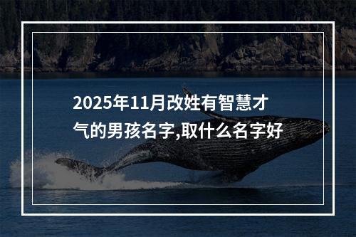 2025年11月改姓有智慧才气的男孩名字,取什么名字好