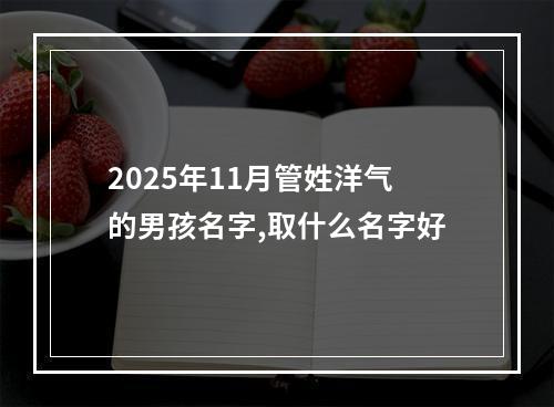 2025年11月管姓洋气的男孩名字,取什么名字好