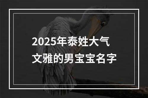 2025年泰姓大气文雅的男宝宝名字