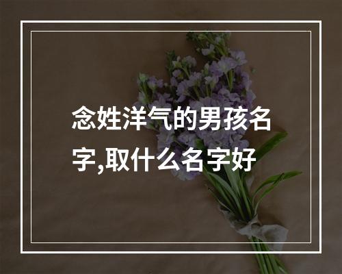 念姓洋气的男孩名字,取什么名字好