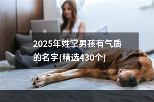 2025年姓掌男孩有气质的名字(精选430个)