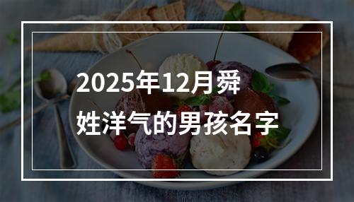 2025年12月舜姓洋气的男孩名字
