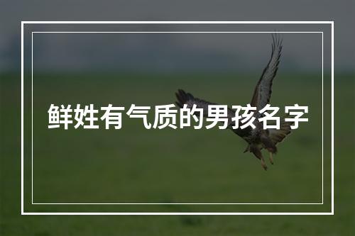 鲜姓有气质的男孩名字