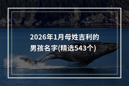 2026年1月母姓吉利的男孩名字(精选543个)