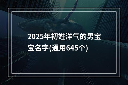 2025年初姓洋气的男宝宝名字(通用645个)