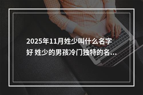 2025年11月姓少叫什么名字好 姓少的男孩冷门独特的名字