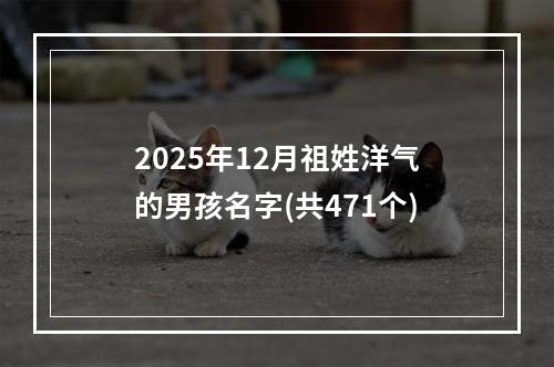 2025年12月祖姓洋气的男孩名字(共471个)
