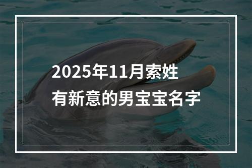 2025年11月索姓有新意的男宝宝名字