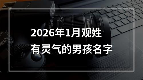 2026年1月观姓有灵气的男孩名字