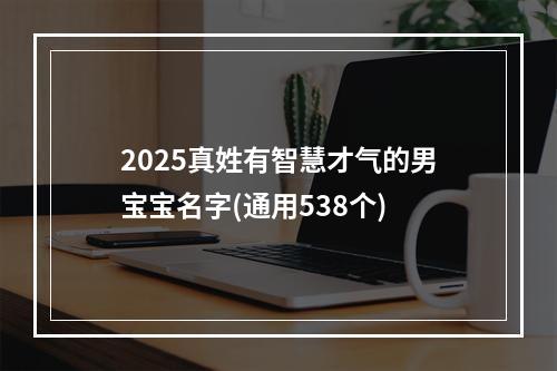 2025真姓有智慧才气的男宝宝名字(通用538个)