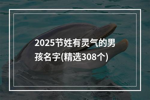 2025节姓有灵气的男孩名字(精选308个)