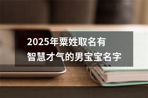 2025年粟姓取名有智慧才气的男宝宝名字