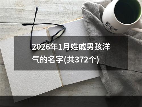 2026年1月姓戚男孩洋气的名字(共372个)