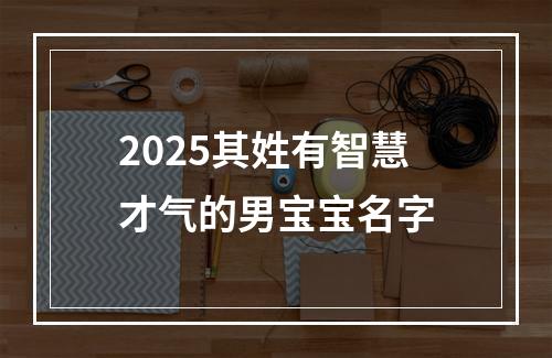 2025其姓有智慧才气的男宝宝名字