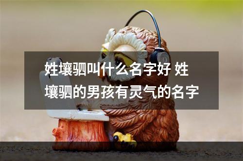 姓壤驷叫什么名字好 姓壤驷的男孩有灵气的名字