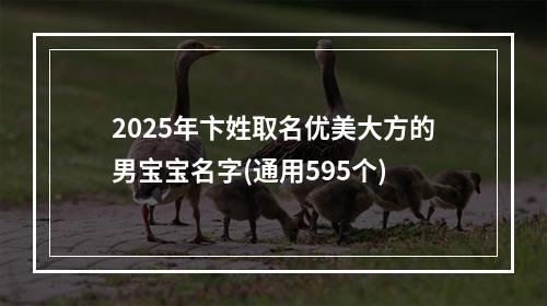 2025年卞姓取名优美大方的男宝宝名字(通用595个)