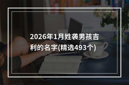 2026年1月姓袭男孩吉利的名字(精选493个)