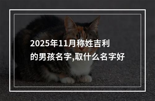 2025年11月称姓吉利的男孩名字,取什么名字好