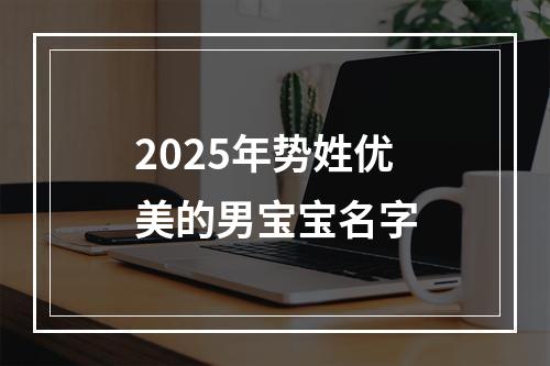 2025年势姓优美的男宝宝名字