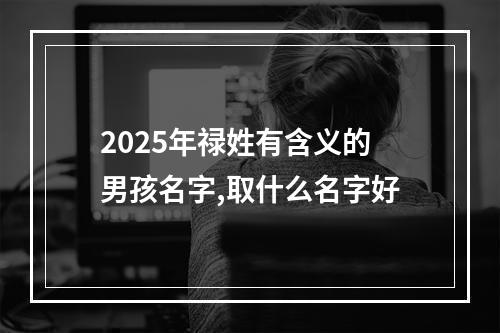 2025年禄姓有含义的男孩名字,取什么名字好