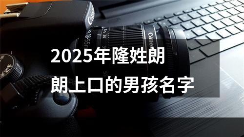 2025年隆姓朗朗上口的男孩名字