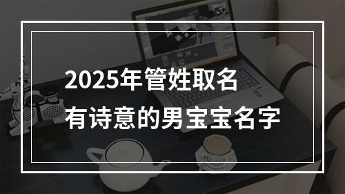 2025年管姓取名有诗意的男宝宝名字