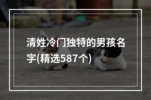 清姓冷门独特的男孩名字(精选587个)
