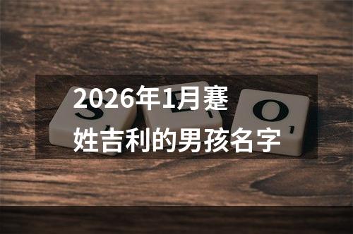 2026年1月蹇姓吉利的男孩名字