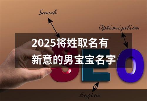 2025将姓取名有新意的男宝宝名字