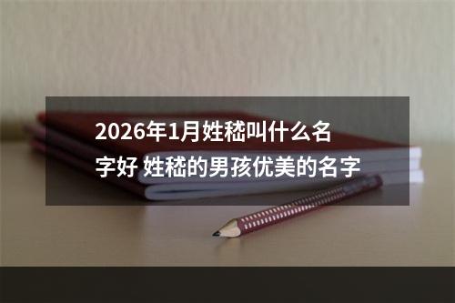 2026年1月姓嵇叫什么名字好 姓嵇的男孩优美的名字