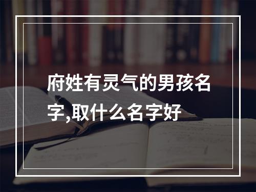 府姓有灵气的男孩名字,取什么名字好