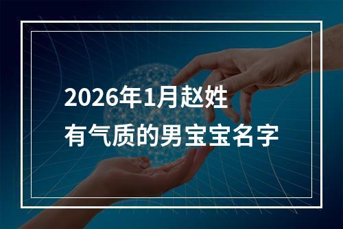 2026年1月赵姓有气质的男宝宝名字