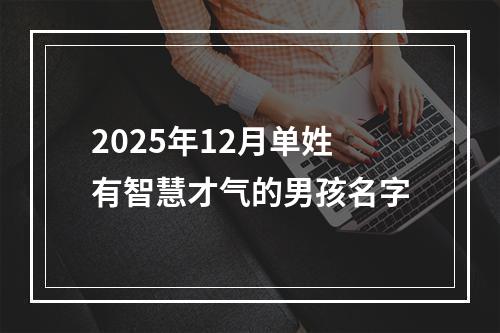 2025年12月单姓有智慧才气的男孩名字