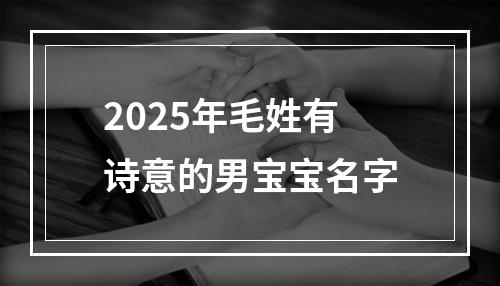2025年毛姓有诗意的男宝宝名字