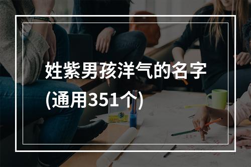 姓紫男孩洋气的名字(通用351个)