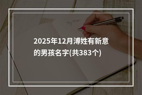 2025年12月溥姓有新意的男孩名字(共383个)