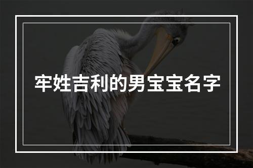 牢姓吉利的男宝宝名字