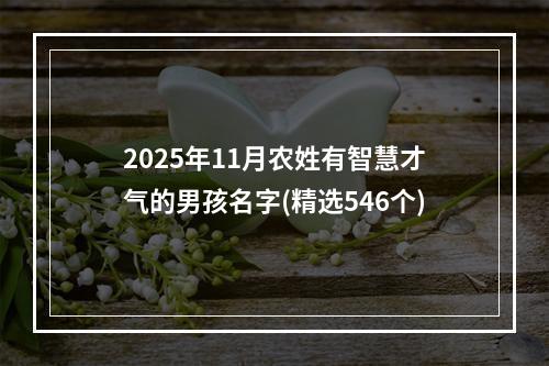 2025年11月农姓有智慧才气的男孩名字(精选546个)