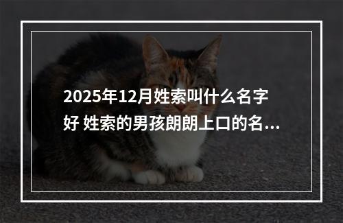 2025年12月姓索叫什么名字好 姓索的男孩朗朗上口的名字