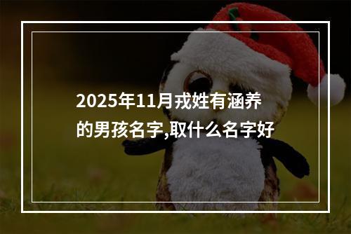 2025年11月戎姓有涵养的男孩名字,取什么名字好