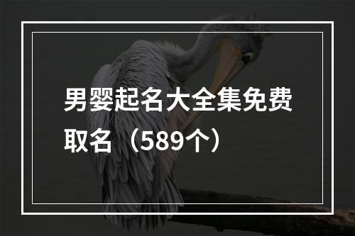 男婴起名大全集免费取名（589个）