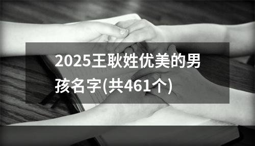 2025王耿姓优美的男孩名字(共461个)