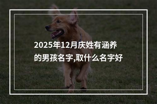 2025年12月庆姓有涵养的男孩名字,取什么名字好