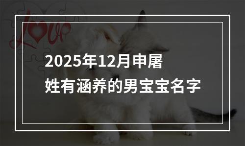 2025年12月申屠姓有涵养的男宝宝名字