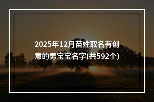 2025年12月苗姓取名有创意的男宝宝名字(共592个)