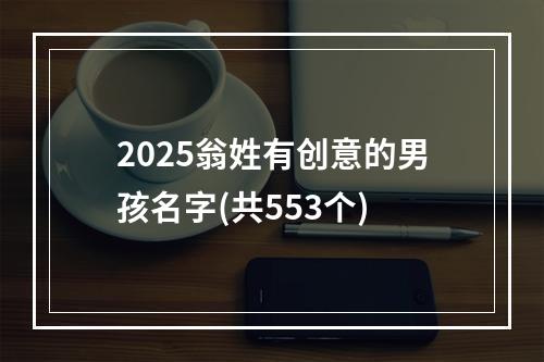 2025翁姓有创意的男孩名字(共553个)