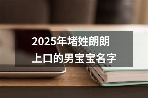 2025年堵姓朗朗上口的男宝宝名字