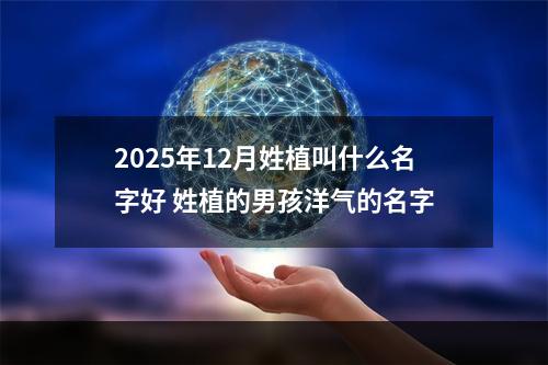 2025年12月姓植叫什么名字好 姓植的男孩洋气的名字